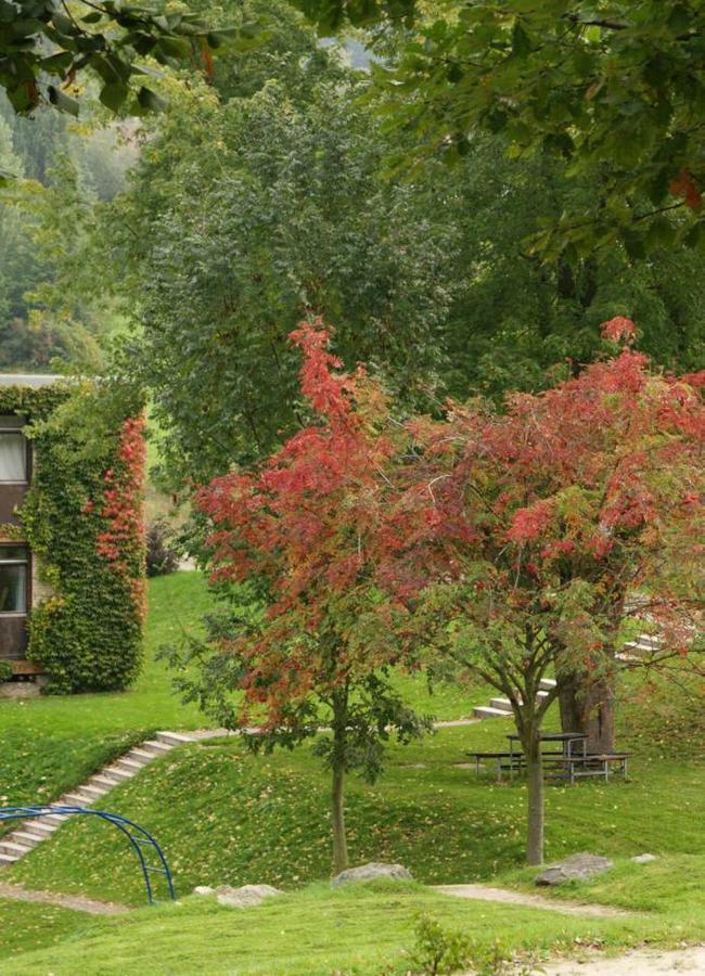Waldblick Appartement Ober-Hambach Kültér fotó
