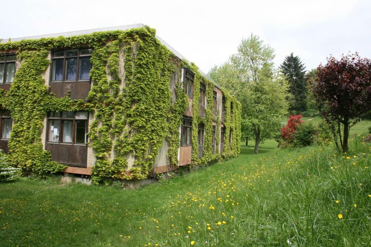 Waldblick Appartement Ober-Hambach Kültér fotó